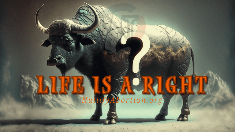 Mountainous Ox, the Symbol of Wyoming, with the words "Life Is a Right" superimposed of a gigantic question mark.